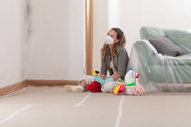 Reliable Crawl Space Mold Removal contractor in Berlin, MD by WQB Mold Removal